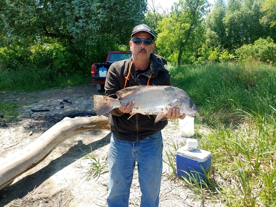 Freshwater Drum