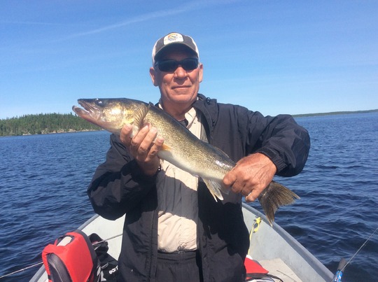 Walleye
