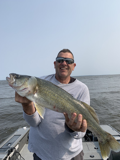 Walleye