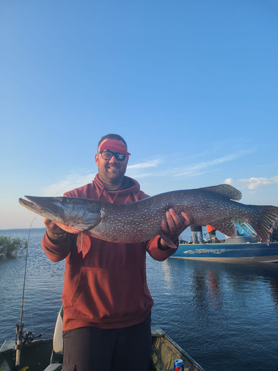 Northern Pike
