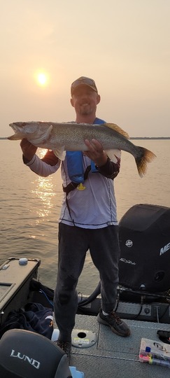Walleye