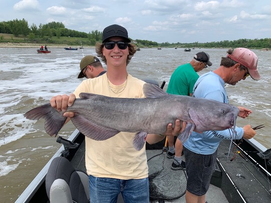 Channel Catfish