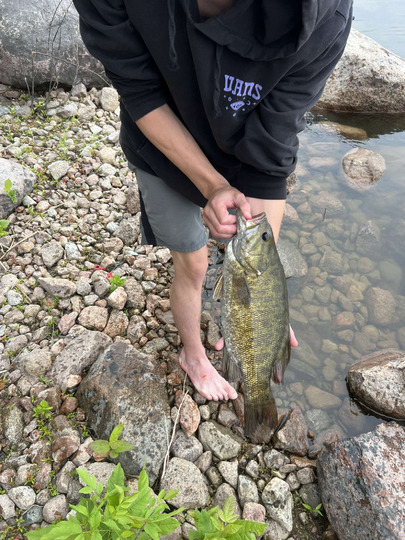Smallmouth Bass