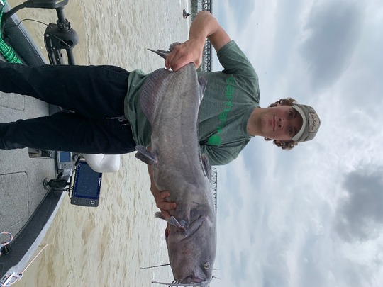 Channel Catfish