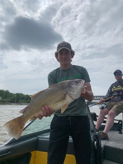 Freshwater Drum