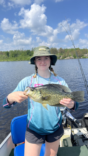 Black Crappie