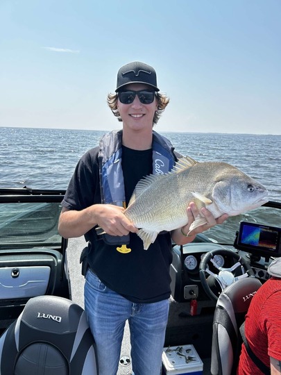 Freshwater Drum