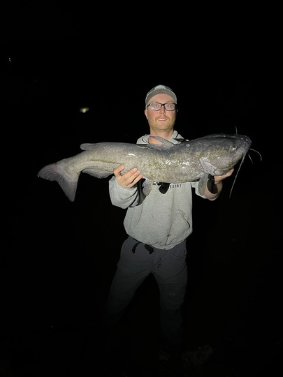 Channel Catfish