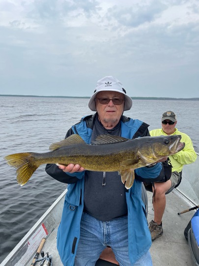 Walleye