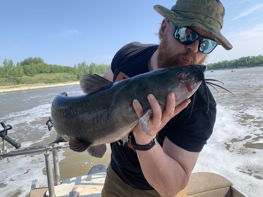 Channel Catfish