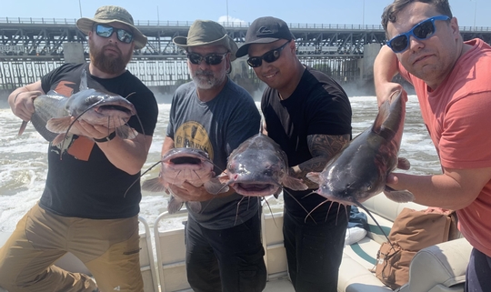 Channel Catfish
