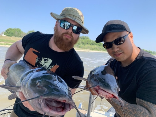 Channel Catfish