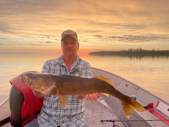 Walleye