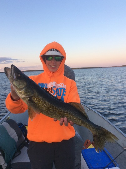 Walleye