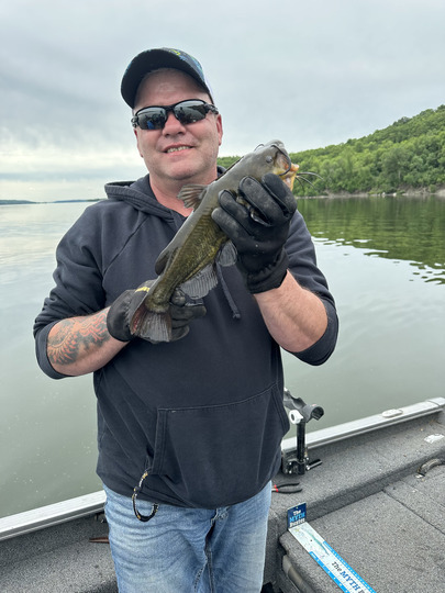 Bullhead