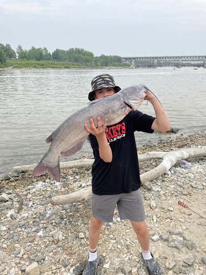 Channel Catfish