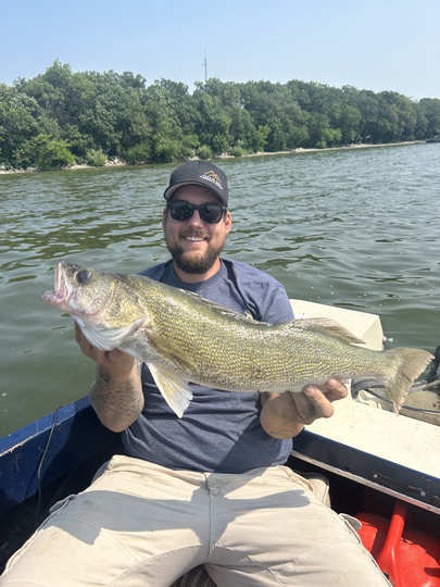 Walleye