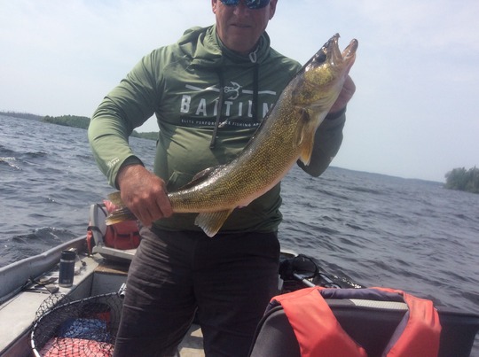 Walleye