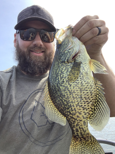 Black Crappie