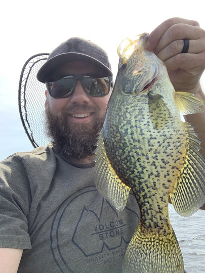 Black Crappie
