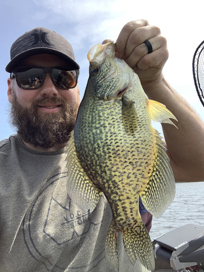 Black Crappie