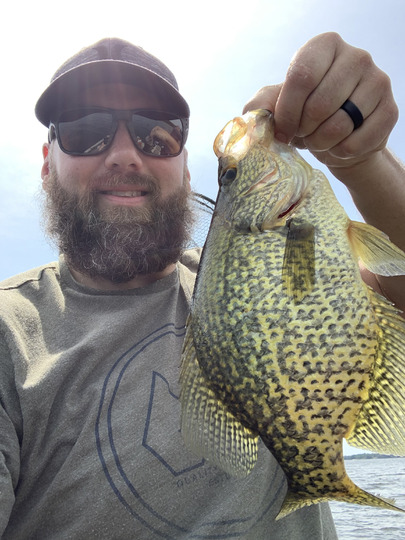 Black Crappie
