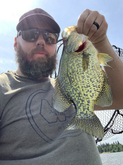 Black Crappie