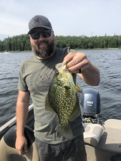 Black Crappie