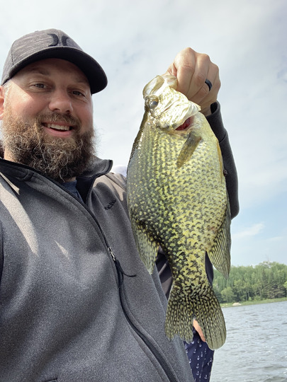 Black Crappie