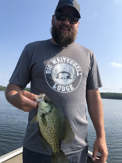 Black Crappie