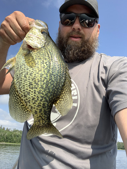 Black Crappie