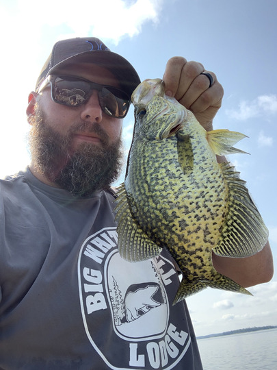Black Crappie
