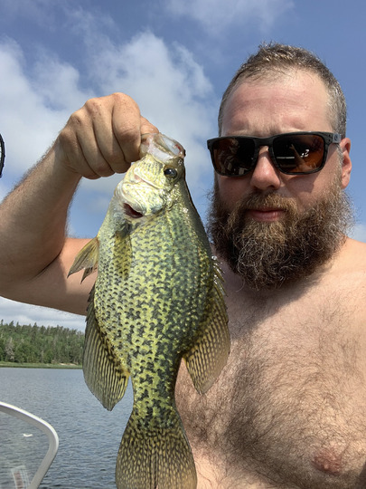 Black Crappie