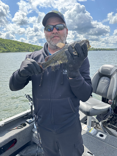 Bullhead