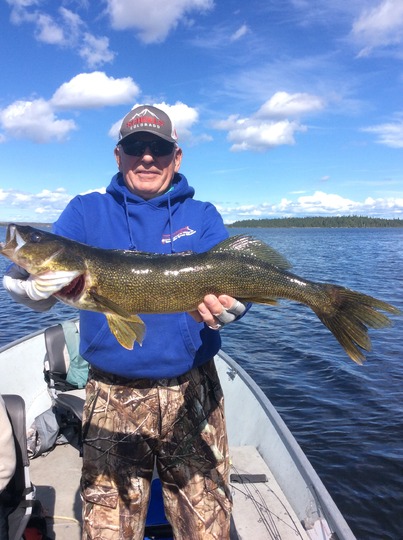Walleye