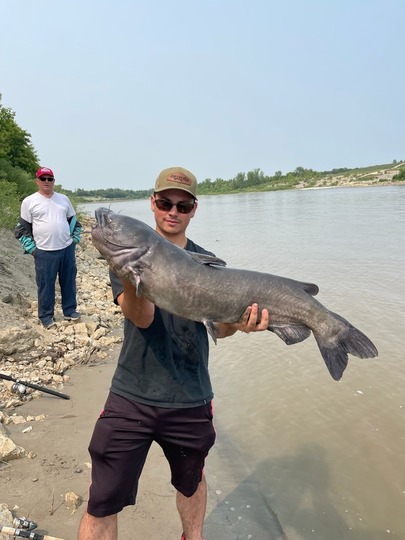 Channel Catfish