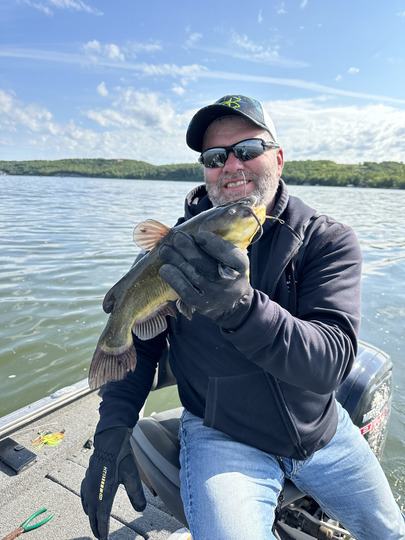 Bullhead