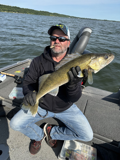 Walleye