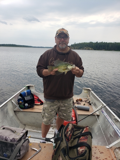 Black Crappie