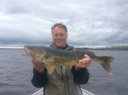 Walleye