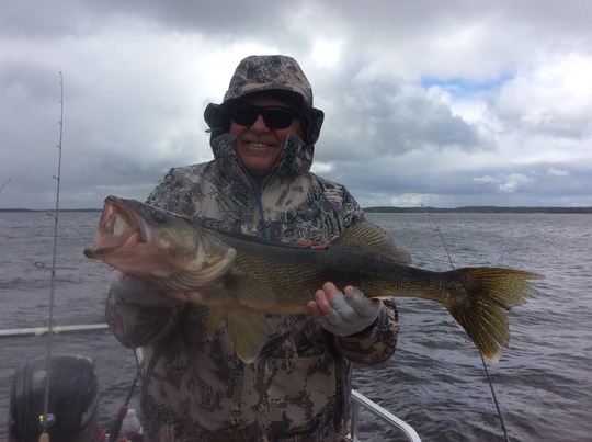 Walleye