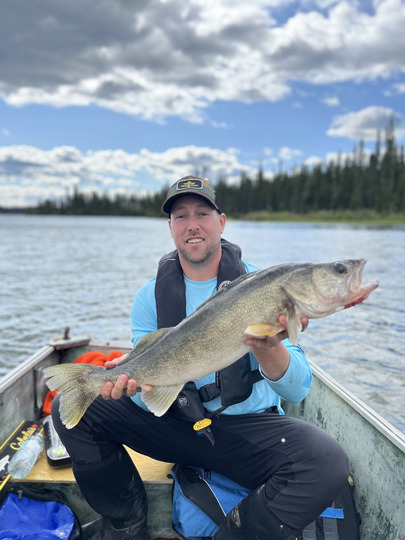 Walleye