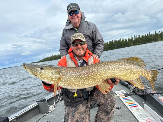 Northern Pike