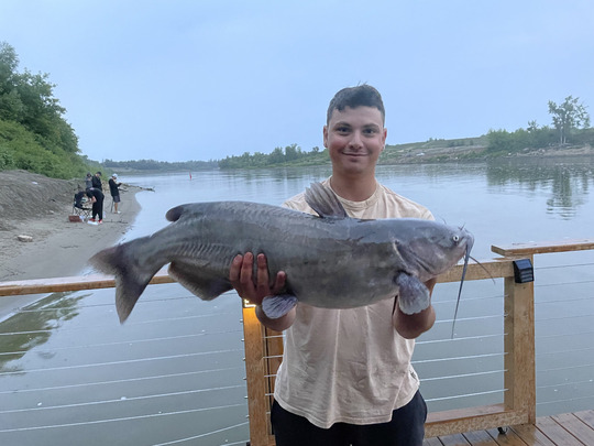 Channel Catfish