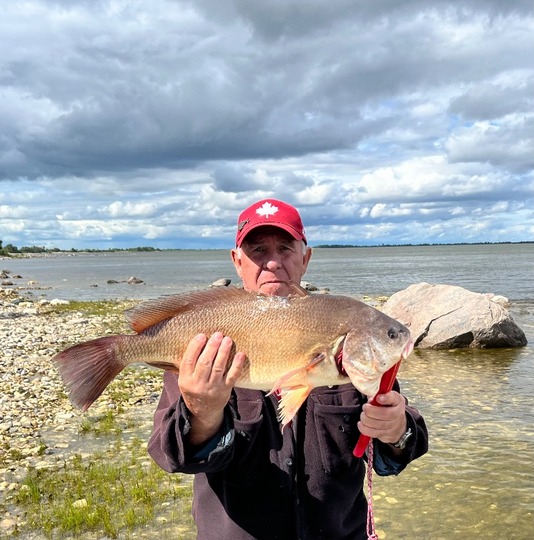 Freshwater Drum