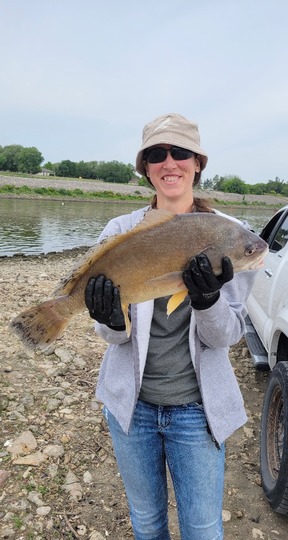 Freshwater Drum