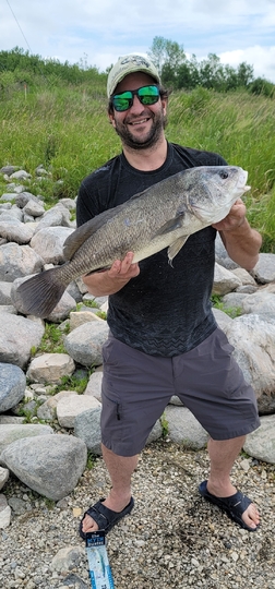 Freshwater Drum