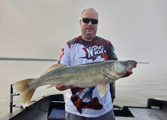 Walleye
