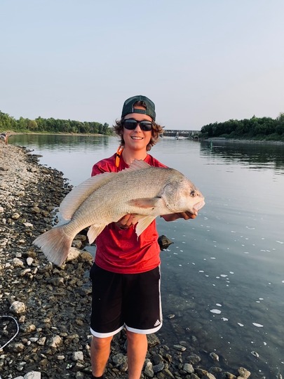 Freshwater Drum