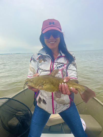 Bullhead
